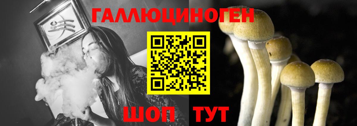 Черкесск  Галлюциногенные грибы прущие грибы  Вход с VPN 