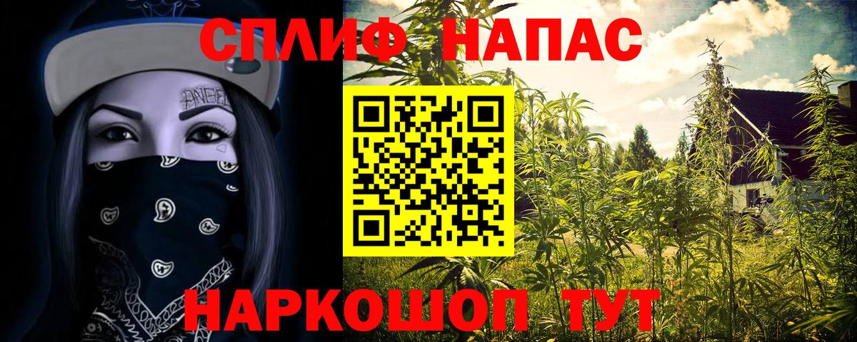 Черкесск  Канабис план  Канабис конопля  Бошки марихуана THC 21%  Вход с VPN 